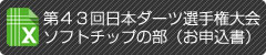 第４３回日本ダーツ選手権大会　ソフトチップの部　お申込書EXELE